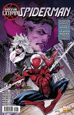 LA MUERTE DEL DOCTOR EXTRAÑO ESPECIAL 2. SPIDERMAN