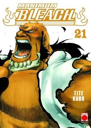 Bleach (Maximum) 21