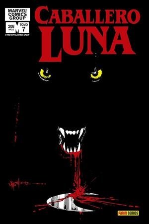 BIBLIOTECA CABALLERO LUNA 07. 1983 MOON KNIGHT 27-