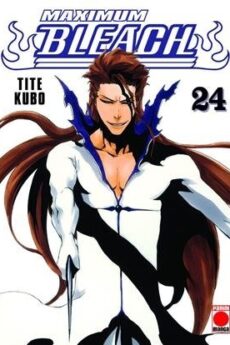Bleach (Maximum) 24