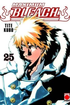 Bleach (Maximum) 25