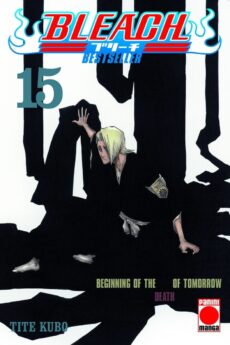 Bleach Bestseller 15