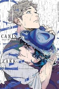 CANIS, DEAR MR. RAIN NUEVA EDICIÓN