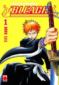 Bleach (Maximum) 01