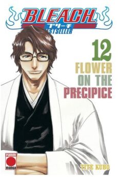 Bleach Bestseller 12