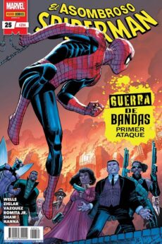 El Asombroso Spiderman 25