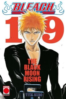 Bleach Bestseller 19