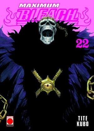 Bleach (Maximum) 22