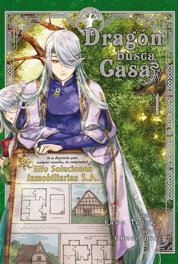 Dragón busca casa 04
