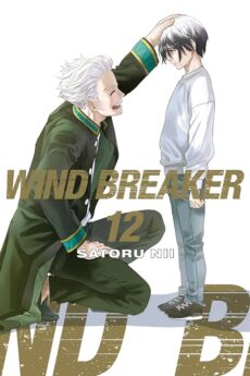 Wind Breaker 12