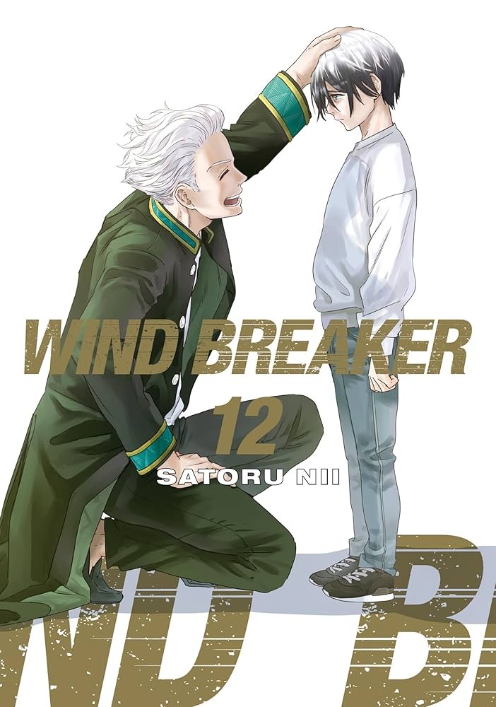 Wind Breaker 12