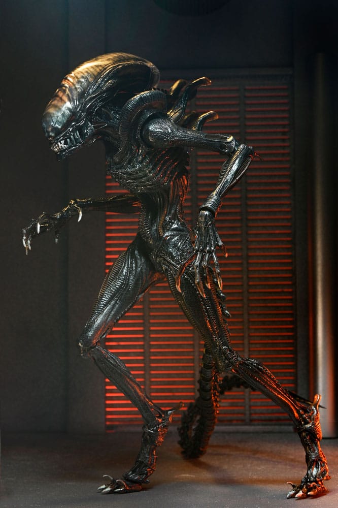 Alien: Romulus Figura Ultimate Scorched Xenomorph 18 cm