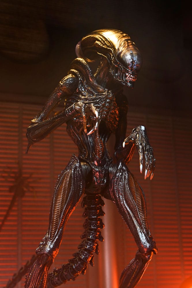 Alien: Romulus Figura Ultimate Scorched Xenomorph 18 cm - Imagen 2