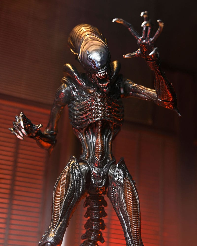 Alien: Romulus Figura Ultimate Scorched Xenomorph 18 cm - Imagen 3