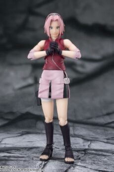 Sakura Haruno Inheritor Tsunade's Indominable Will Fig 14