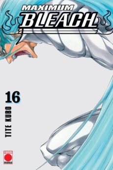 Bleach (Maximum) 16