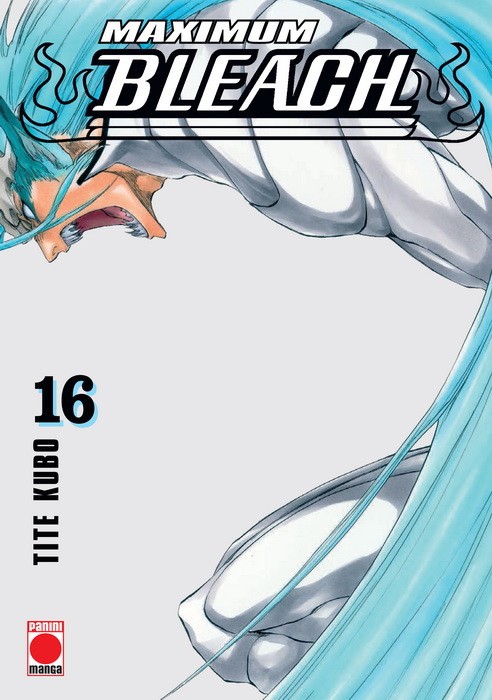 Bleach (Maximum) 16