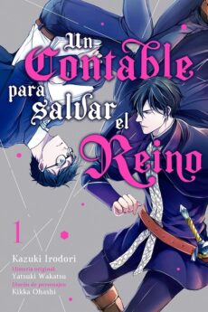 Un contable para salvar el reino 01