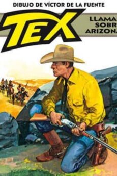 Tex: Llamas Sobre Arizona