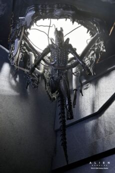 Alien: Romulus Figura Deluxe Suspended Lab Xenomorph XX121 18 cm