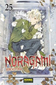 Noragami 25