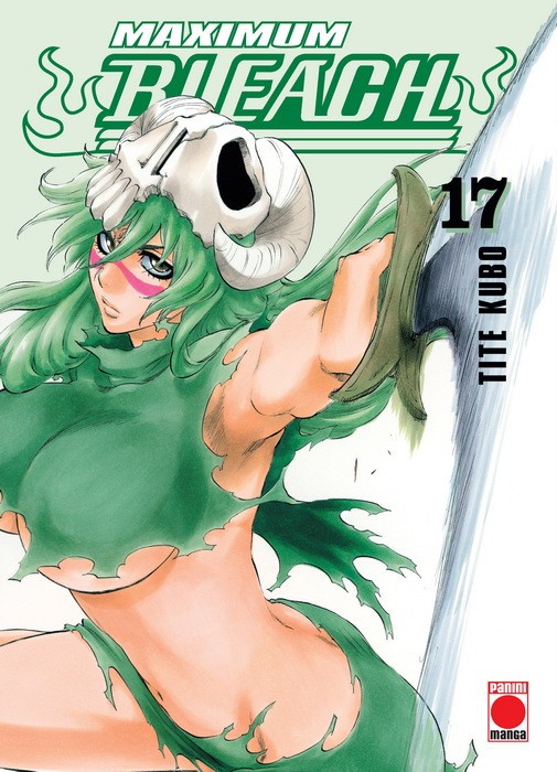 Bleach (Maximum) 17