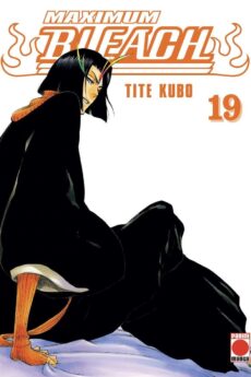 Bleach (Maximum) 19