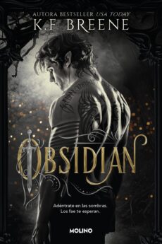 Los fae de las sombras 1 - Obsidian